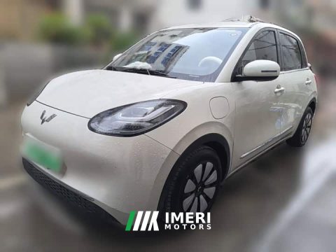 2024 Wuling Binguo 333km Joy Edition - ავტომობილი ჩინეთიდან