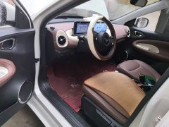 Wuling Binguo 333km Joy Edition - ფოტო 12