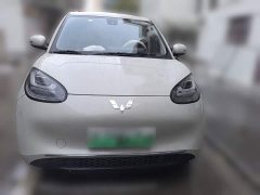 Wuling Binguo 333km Joy Edition - ფოტო 2