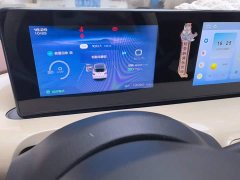 Wuling Binguo 333km Joy Edition - ფოტო 8