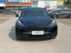 Tesla Model Y Rear-Wheel Drive - ფოტო 12