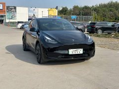 Tesla Model Y Rear-Wheel Drive - ფოტო 3