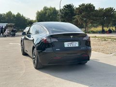 Tesla Model Y Rear-Wheel Drive - ფოტო 4