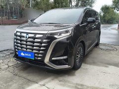 Denza D9 DM-i 1050 Premium - photo 1