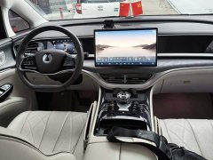 Denza D9 DM-i 1050 Premium - photo 11