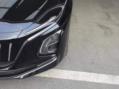 FAW Hongqi E-QM5 610km PLUS - ფოტო 4
