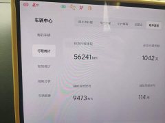 Li Auto L7 Pro - ფოტო 8