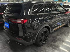 Ford Lingyue Lingyù EcoBoost 225 Black Obsidian Sunset Orange Respect Leader 7-seater (2/2/3) - фото 3