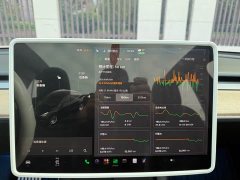 Tesla Model Y Standard Range RWD - ფოტო 9
