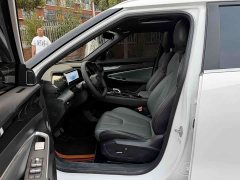 Geely Boyue 1.5TD Longteng Edition - ფოტო 12