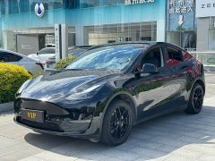 Tesla Model Y Long Range All-Wheel Drive - ფოტო 4