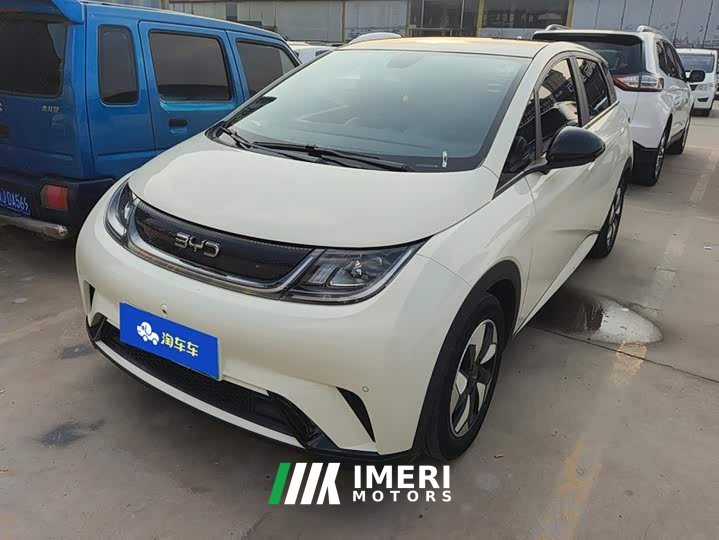 BYD Dolphin 420km Fashion Edition - ავტომობილი ჩინეთიდან