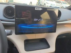 BYD Dolphin 420km Fashion Edition - ფოტო 13