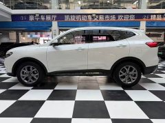 Haval H6 1.5L Turbocharged Automatic Champion Edition - ფოტო 6