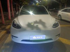 Tesla Model Y Rear-Wheel Drive - ფოტო 2