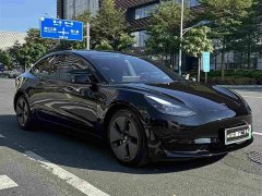 Tesla Model 3 Rear-Wheel Drive - photo 3