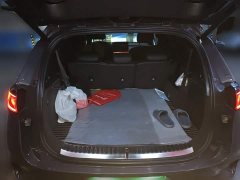 Denza X PHEV Classic Edition - photo 15