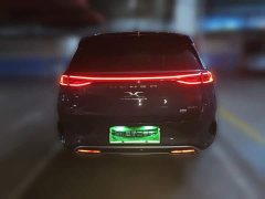 Denza X PHEV Classic Edition - photo 3