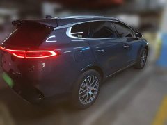Denza X PHEV Classic Edition - photo 4