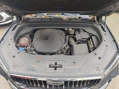 Geely Xingyue L 2.0TD DCT EVO FWD Luxury - ფოტო 19
