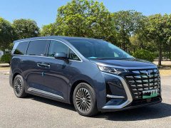 Denza D9 DM-i 980 Four-Wheel Drive Flagship - ფოტო 3