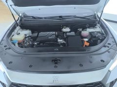 BYD Song Pro New Energy Champion Edition DM-i 71KM Exceed - photo 10