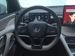 BYD Song Pro New Energy Champion Edition DM-i 71KM Exceed - photo 15