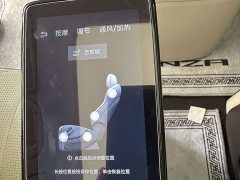 Denza D9 DM-i 1050 Premium - ფოტო 18