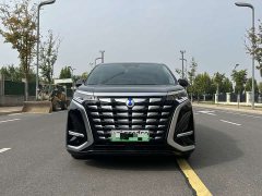 Denza D9 DM-i 1050 Premium - ფოტო 2