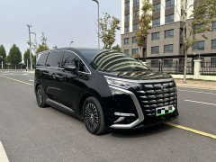 Denza D9 DM-i 1050 Premium - ფოტო 3