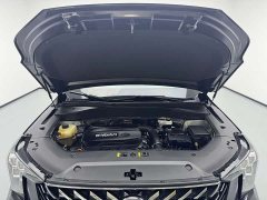 GAC Aion GS8 Pioneer Series 2.0T GDI FWD Luxury Smart Connected Edition 7-Seater - photo 19