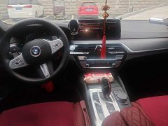 BMW 5 Series 530Li Luxury M Sport Package - ფოტო 12