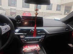 BMW 5 Series 530Li Luxury M Sport Package - ფოტო 13