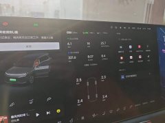 Li Auto L9 Pro - ფოტო 14