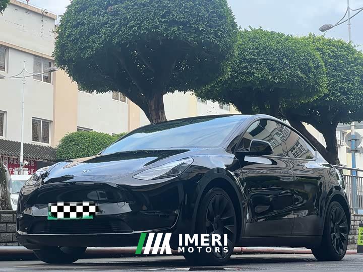 Tesla Model Y Long Range All-Wheel Drive - ავტომობილი ჩინეთიდან