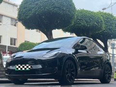Tesla Model Y Long Range All-Wheel Drive - ფოტო 1