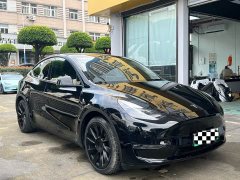 Tesla Model Y Long Range All-Wheel Drive - ფოტო 3