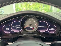 Porsche Panamera 2.9T - ფოტო 13