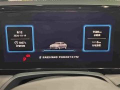 Volkswagen Magotan 380TSI DSG Premium Edition - photo 17