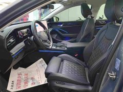 Volkswagen Magotan 380TSI DSG Premium Edition - photo 4
