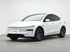 Tesla Model Y Long Range All-Wheel Drive - ფოტო 1