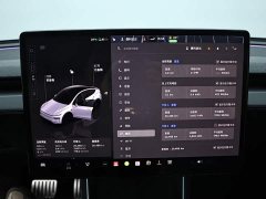 Tesla Model Y Long Range All-Wheel Drive - ფოტო 10
