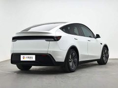 Tesla Model Y Long Range All-Wheel Drive - ფოტო 3