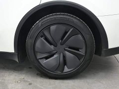 Tesla Model Y Long Range All-Wheel Drive - ფოტო 8