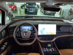 Denza D9 DM-i 970 AWD Flagship - ფოტო 12