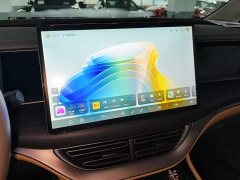 Denza D9 DM-i 970 AWD Flagship - ფოტო 13