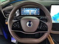 Denza D9 DM-i 970 AWD Flagship - ფოტო 15