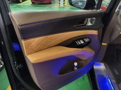 Denza D9 DM-i 970 AWD Flagship - ფოტო 7