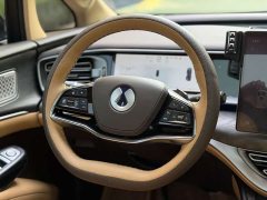 Denza D9 DM-i Smart Drive 1020 Four-Wheel Drive Premium - photo 10