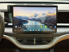 Denza D9 DM-i Smart Drive 1020 Four-Wheel Drive Premium - photo 11